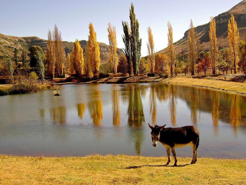 Lake Clarens Guest House מראה חיצוני תמונה