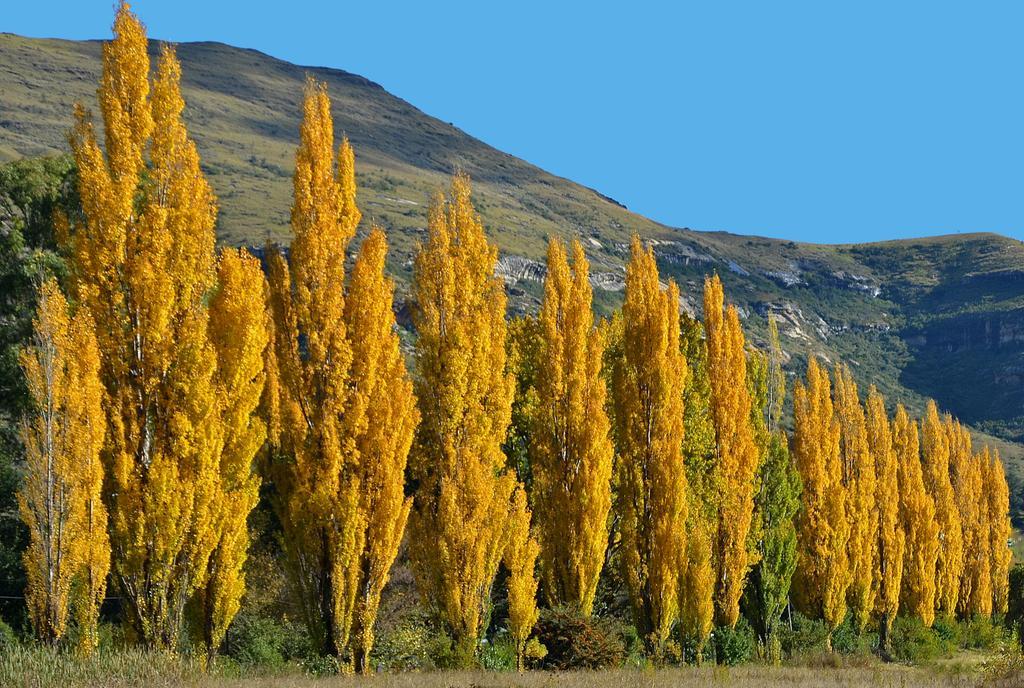 Lake Clarens Guest House מראה חיצוני תמונה