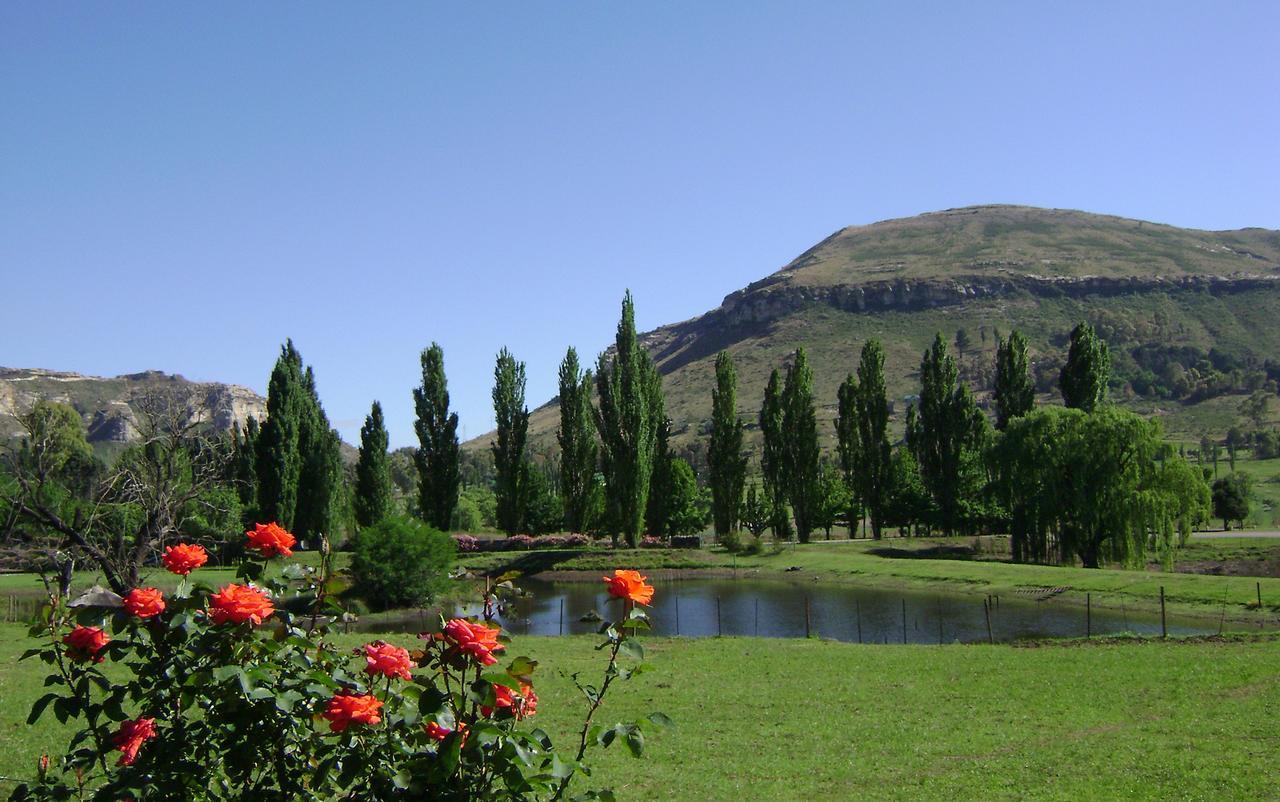 Lake Clarens Guest House מראה חיצוני תמונה